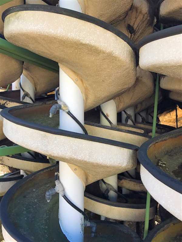Mineral Deposits Ltd Mdl- Lg6 Spiral Package)